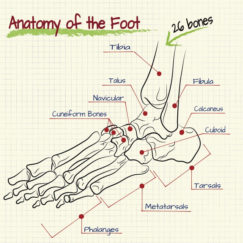 Ergonomic Footwear Design & Manufacturing3.webp